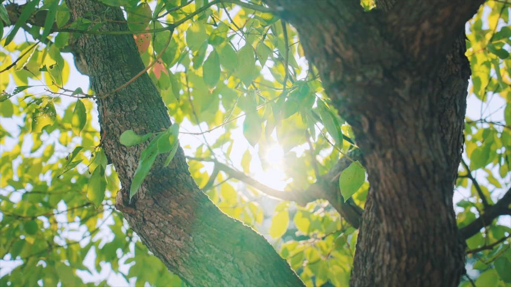 6731�������ֹٷ���վ-�����������ַ���Ʒ��