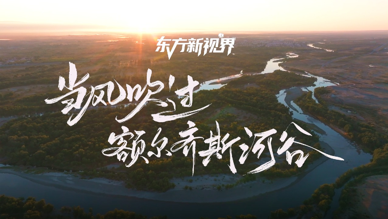 6731�������ֹٷ���վ-�����������ַ���Ʒ��