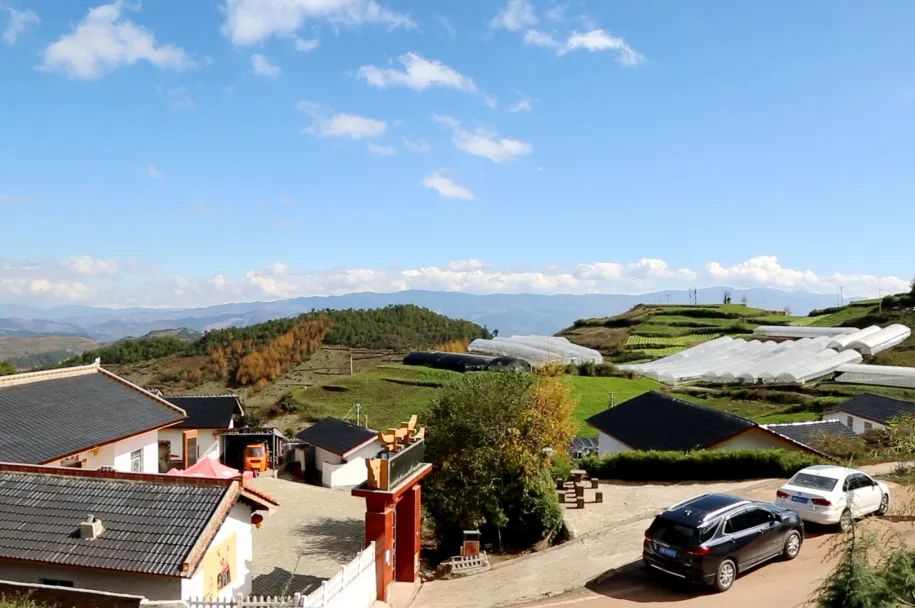 6731�������ֹٷ���վ-�����������ַ���Ʒ��