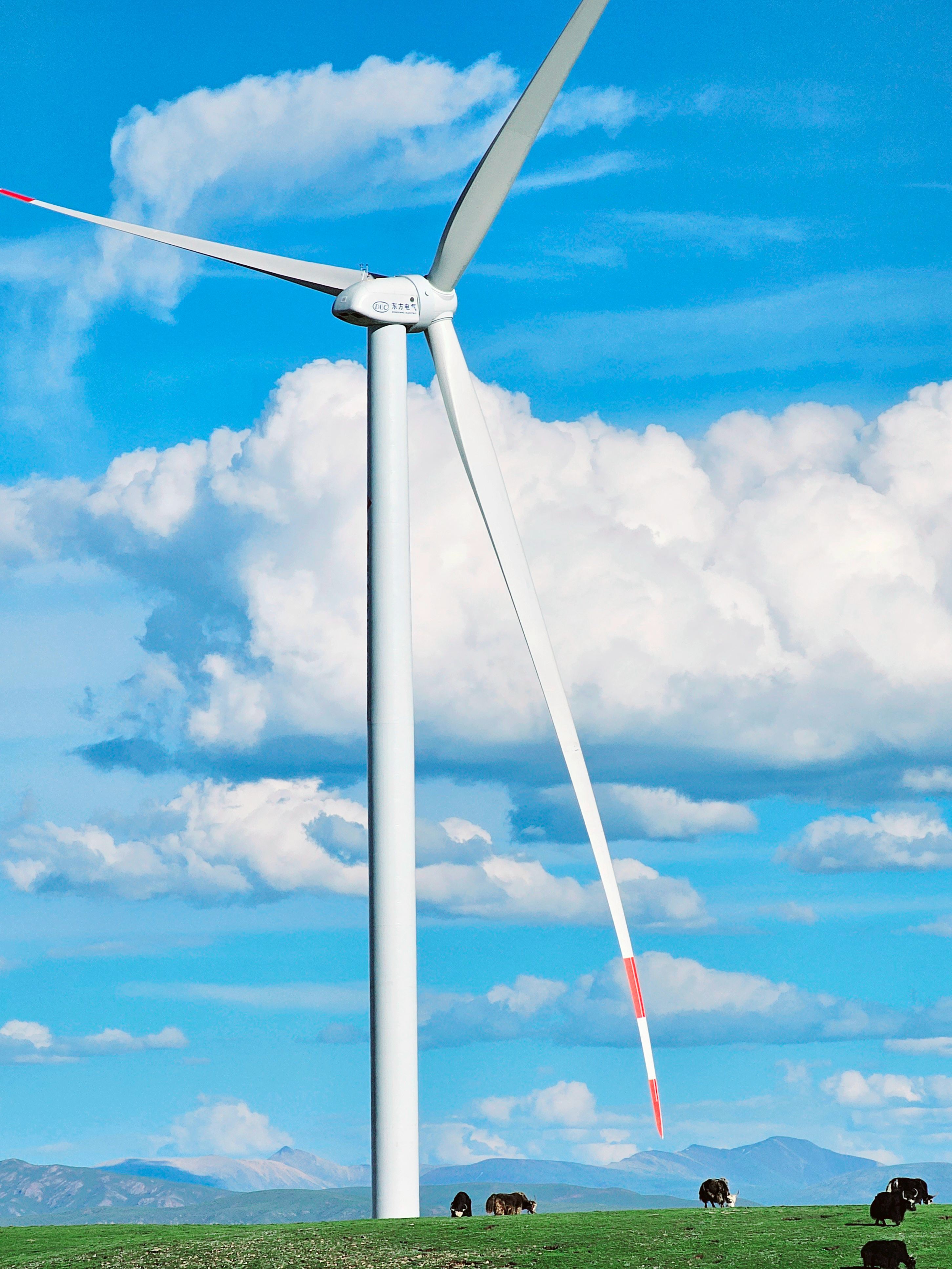 6731�������ֹٷ���վ-�����������ַ���Ʒ��