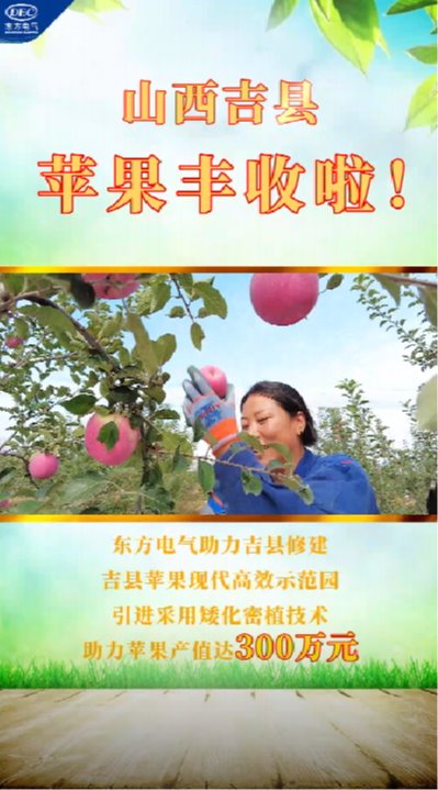 6731�������ֹٷ���վ-�����������ַ���Ʒ��