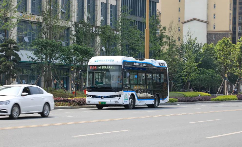 ����ɫ�ⶼ���ص���Ŀ����������������������ۯ���������ƽ����ܹ�ҵ��Ȧǿ��