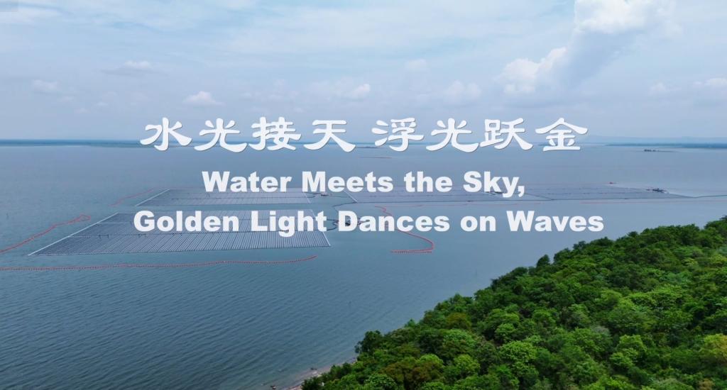 6731�������ֹٷ���վ-�����������ַ���Ʒ��