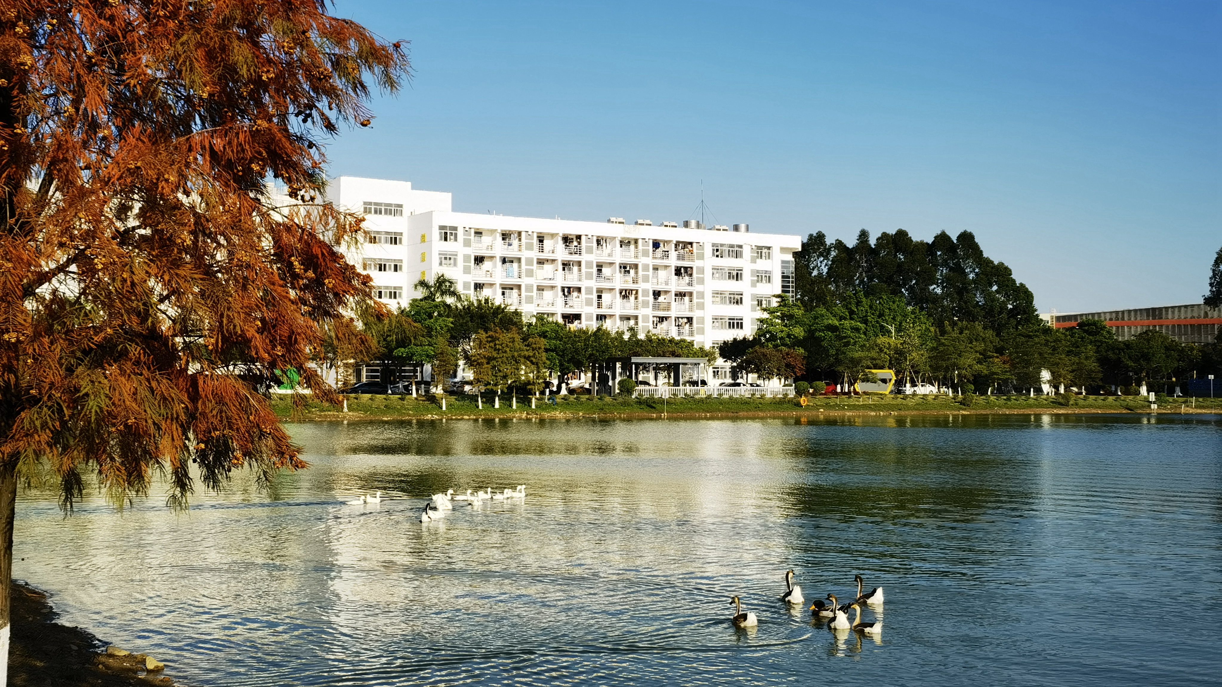 6731�������ֹٷ���վ-�����������ַ���Ʒ��