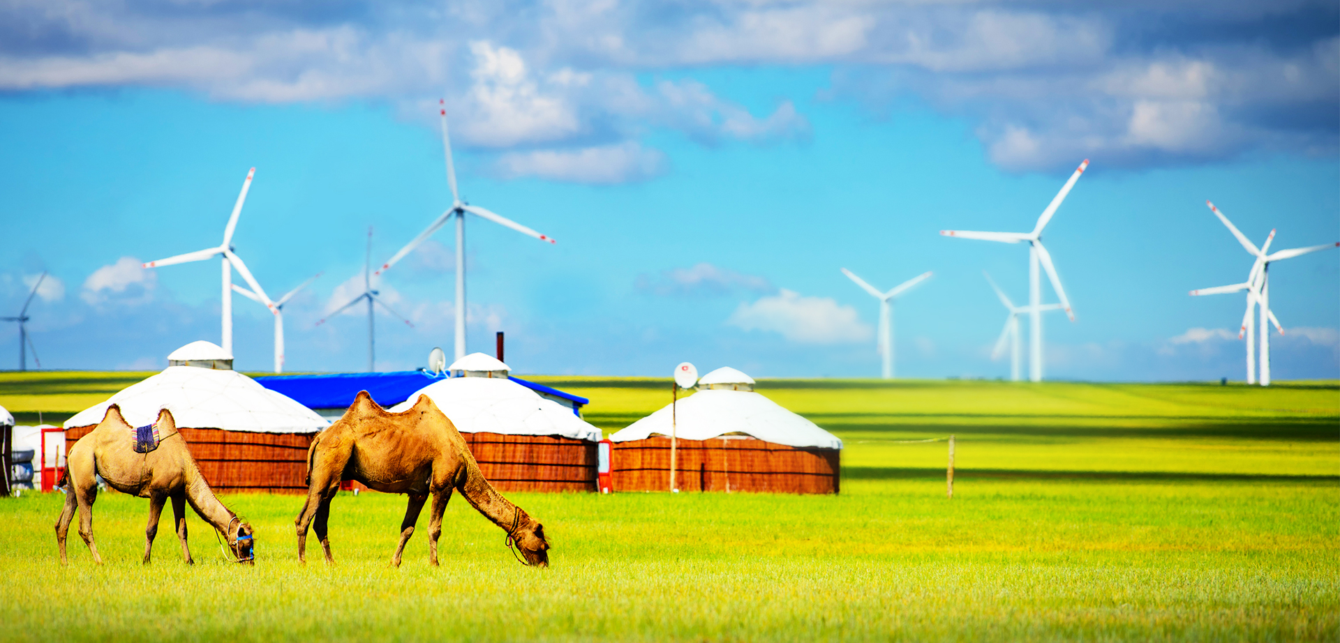 6731�������ֹٷ���վ-�����������ַ���Ʒ��